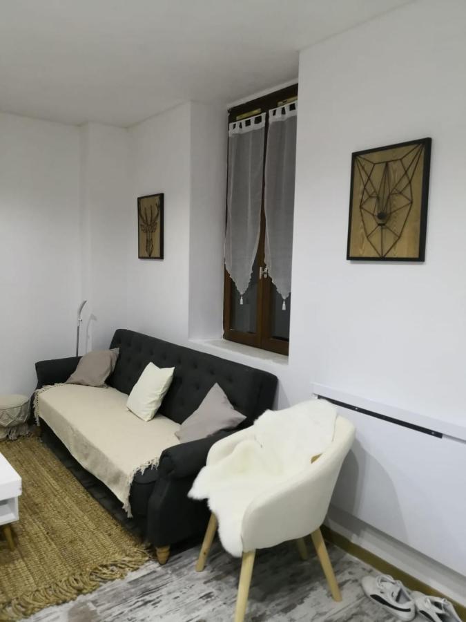 Studio Zen Et Cosy, Neuf En Pleine Ville Saint-Claude Eksteriør bilde