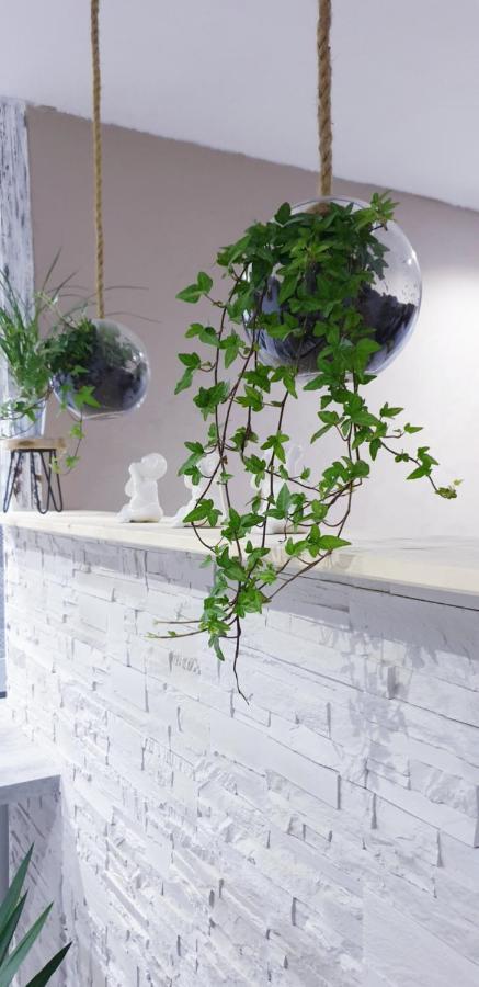 Studio Zen Et Cosy, Neuf En Pleine Ville Saint-Claude Eksteriør bilde
